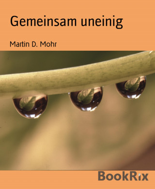 Martin D. Mohr: Gemeinsam uneinig