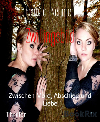 Frauke Nehmer: Zwillingsbild