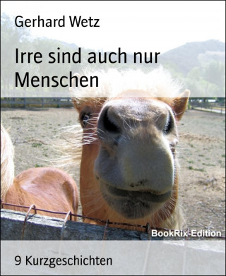 Gerhard Wetz: Irre sind auch nur Menschen