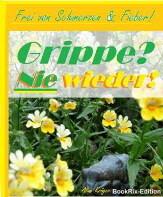 Aline Kröger: Grippe? Nie wieder!