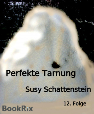 Susy Schattenstein: Perfekte Tarnung