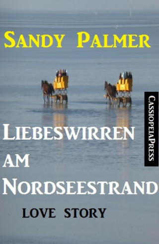 Sandy Palmer: Liebeswirren am Nordseestrand: Love Story
