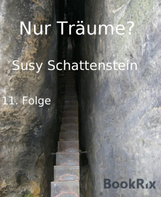 Susy Schattenstein: Nur Träume?