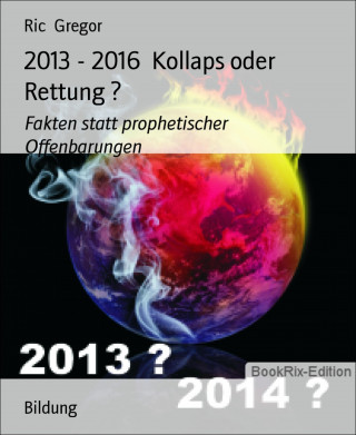 Ric Gregor: 2013 - 2016 Kollaps oder Rettung ?