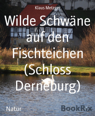 Klaus Metzger: Wilde Schwäne auf den Fischteichen (Schloss Derneburg)