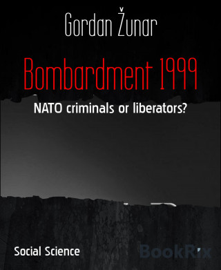 Gordan Žunar: Bombardment 1999