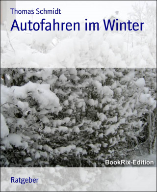 Thomas Schmidt: Autofahren im Winter