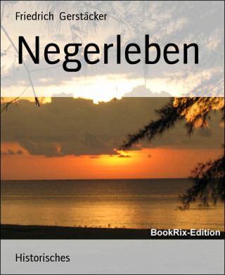 Friedrich Gerstäcker: Negerleben