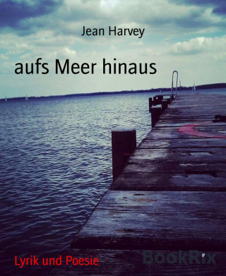 Jean Harvey: aufs Meer hinaus