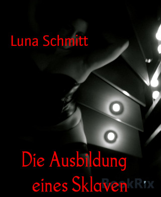 Luna Schmitt: Die Ausbildung eines Sklaven