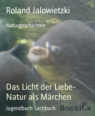 Roland Jalowietzki: Das Licht der Liebe- Natur als Märchen