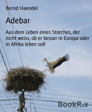 Bernd Haendel: Adebar