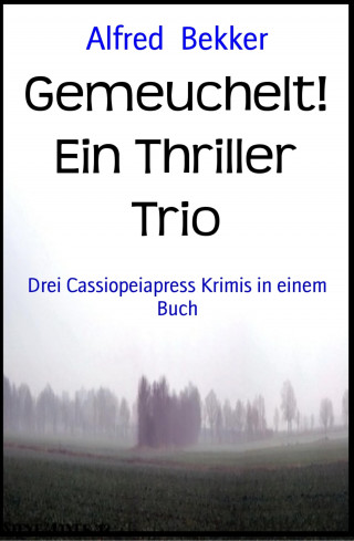 Alfred Bekker: Gemeuchelt! Ein Thriller Trio