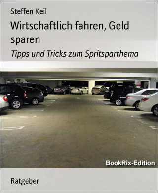 Steffen Keil: Wirtschaftlich fahren, Geld sparen