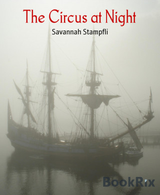 Savannah Stampfli: The Circus at Night