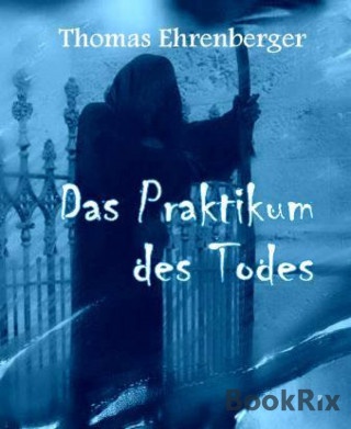 Thomas Ehrenberger: Das Praktikum des Todes