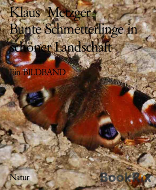 Klaus Metzger: Bunte Schmetterlinge in schöner Landschaft