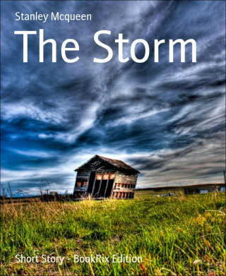 Stanley Mcqueen: The Storm