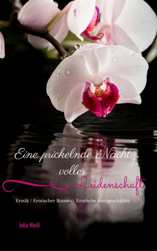 Julia Weiß: Eine prickelnde Nacht voller Leidenschaft Erotik / Erotischer Roman / Erotische Kurzgeschichte