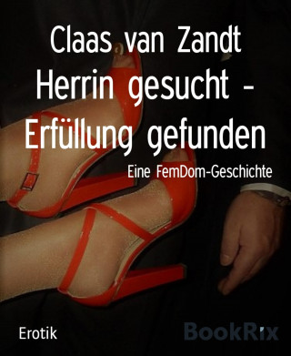 Claas van Zandt: Herrin gesucht - Erfüllung gefunden