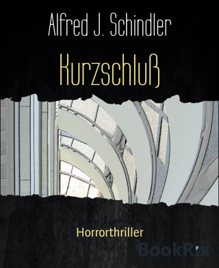 Alfred J. Schindler: Kurzschluß