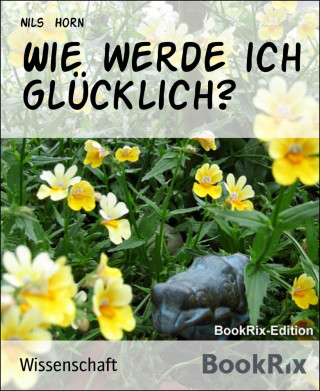 Nils Horn: Wie werde ich glücklich?