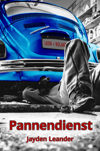 Jayden Leander: Pannendienst
