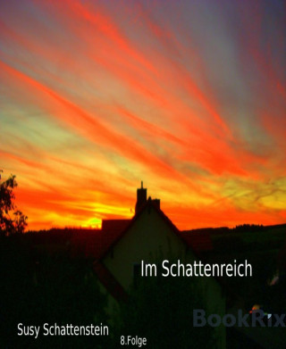 Susy Schattenstein: Im Schattenreich