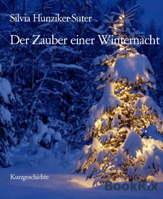 Silvia Hunziker-Suter: Der Zauber einer Winternacht