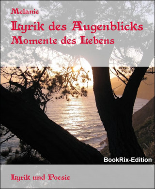 Melanie: Lyrik des Augenblicks
