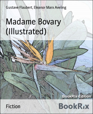 Gustave Flaubert, Eleanor Marx Aveling: Madame Bovary (Illustrated)