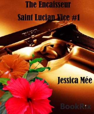 Jessica Mée: The Encaisseur