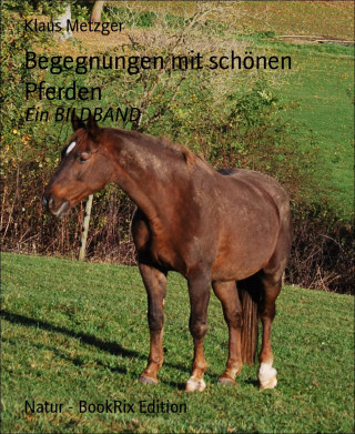 Klaus Metzger: Begegnungen mit schönen Pferden