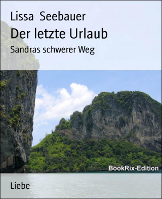 Lissa Seebauer: Der letzte Urlaub