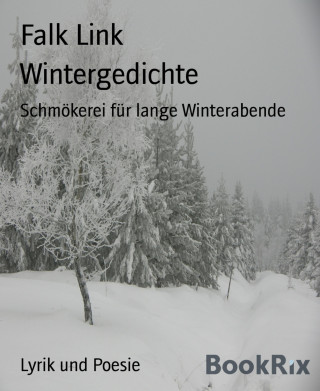 Falk Link: Wintergedichte