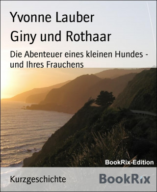 Yvonne Lauber: Giny und Rothaar