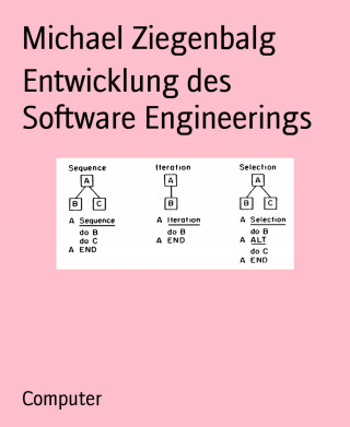 Michael Ziegenbalg: Entwicklung des Software Engineerings