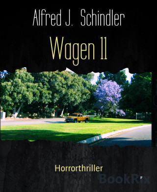 Alfred J. Schindler: Wagen 11