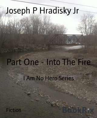Joseph P Hradisky Jr: Part One - Into The Fire
