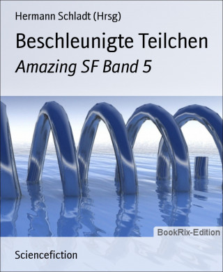 Hermann Schladt (Hrsg): Beschleunigte Teilchen