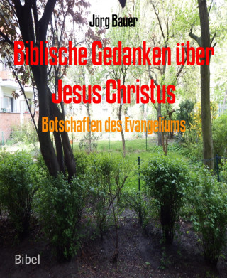 Jörg Bauer: Botschaften des Evangeliums