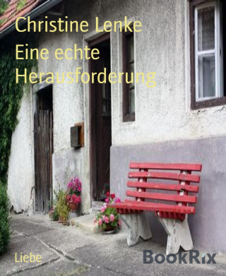 Christine Lenke: Eine echte Herausforderung