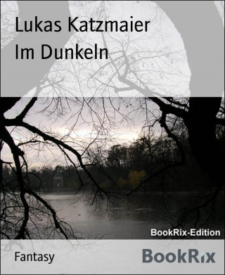 Lukas Katzmaier: Im Dunkeln