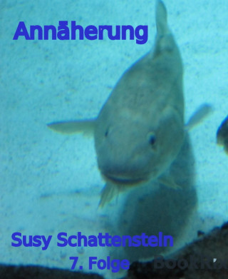 Susy Schattenstein: Annäherung