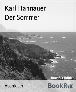 Karl Hannauer: Der Sommer