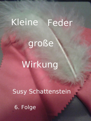 Susy Schattenstein: Kleine Feder - große Wirkung