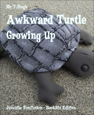 Mr T.Singh: Awkward Turtle