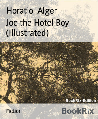 Horatio Alger: Joe the Hotel Boy (Illustrated)