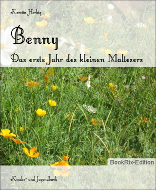 Kerstin Herbig: Benny