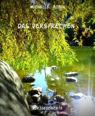 Michelle Robin: Das Versprechen
